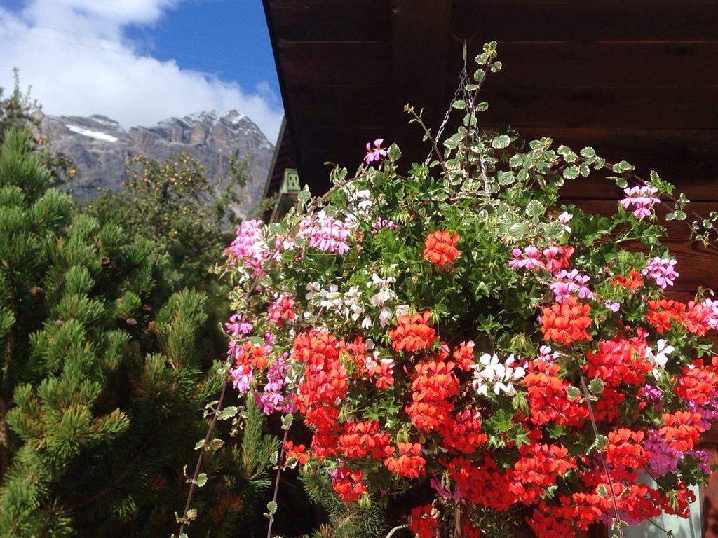 Hotel Villa Nevada Cortina dʼAmpezzo Kültér fotó