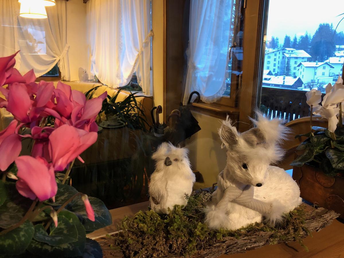 Hotel Villa Nevada Cortina dʼAmpezzo Kültér fotó